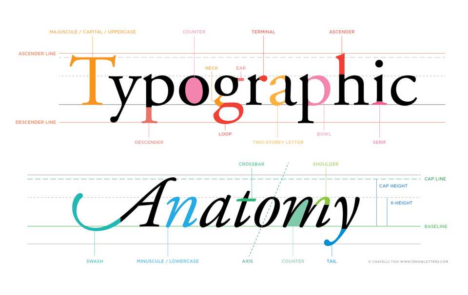 Anatomy of Type
